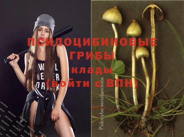 а пвп мука Верея