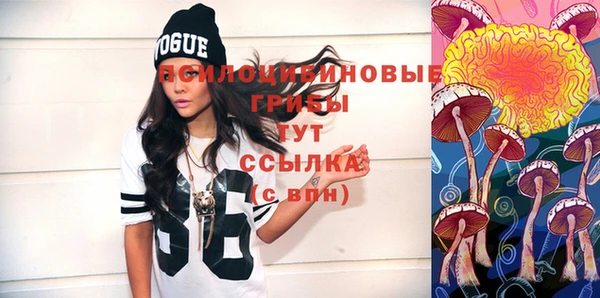 дурь Верхний Тагил